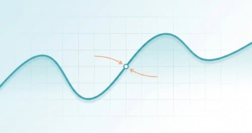 Functions, Limits and Continuity - Calculus (Undergraduate Foundation)